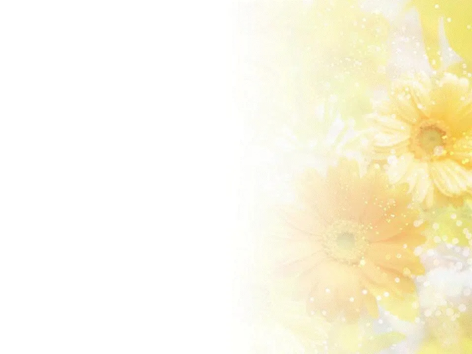 Soft Pastel Background Animation