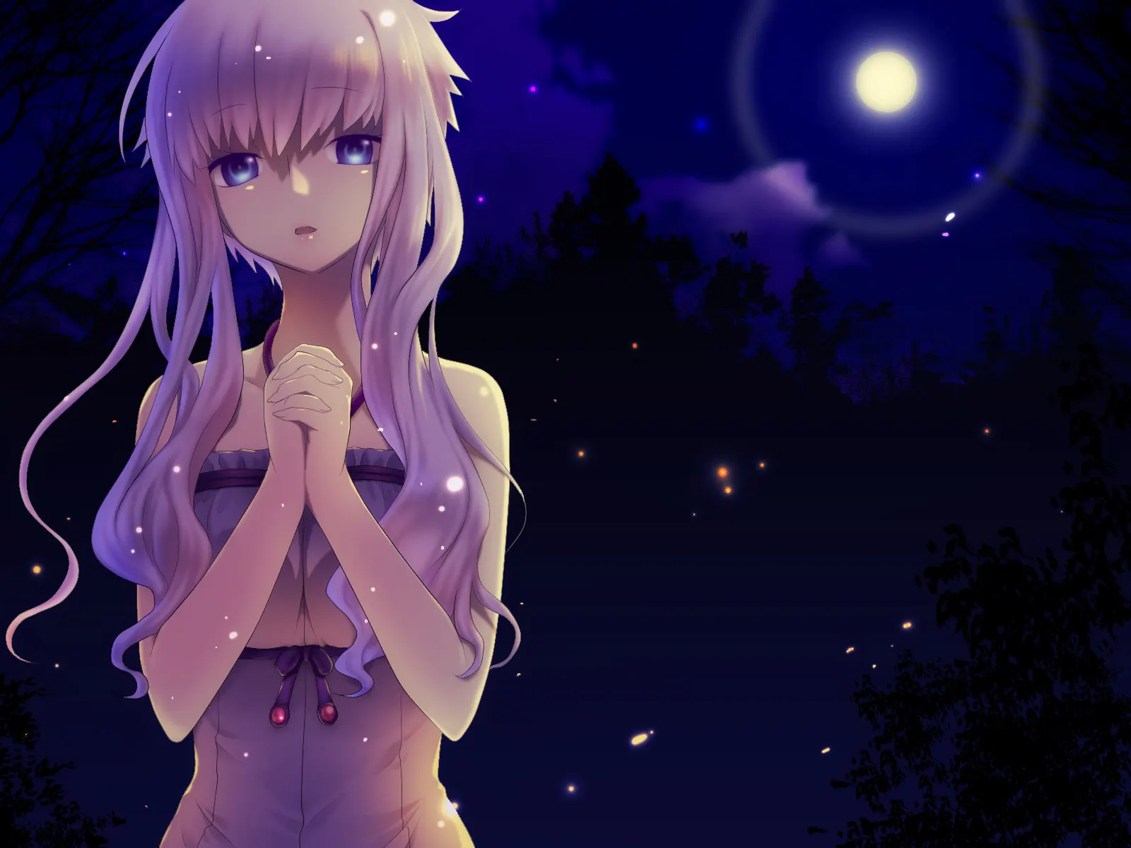 Horizontal Night Sky Doll Toy Botanical Free Stock Photo