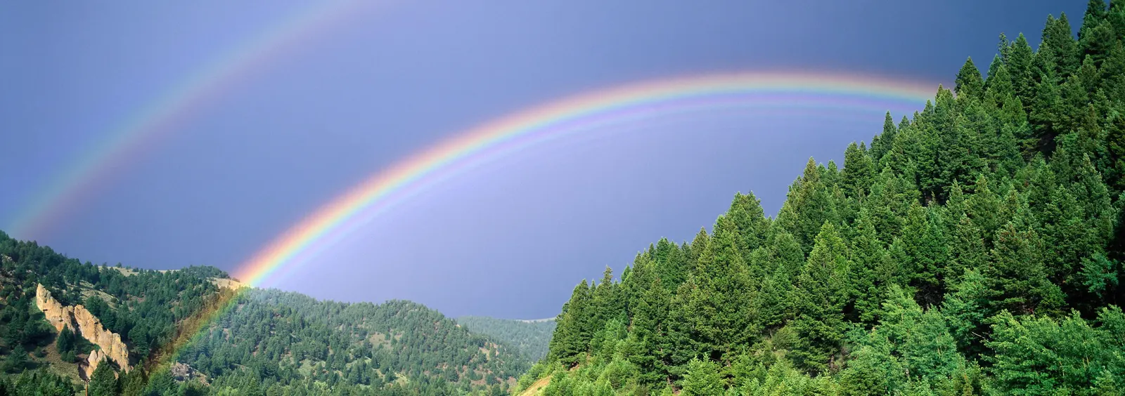 Horizontal Rainbow Evergreen Hill Botanical Free Stock Photo