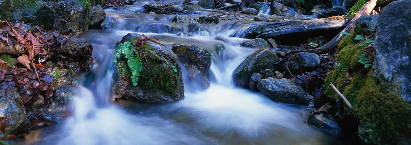 Horizontal Water Body Liquid Waterways Landscape Free Stock Photo