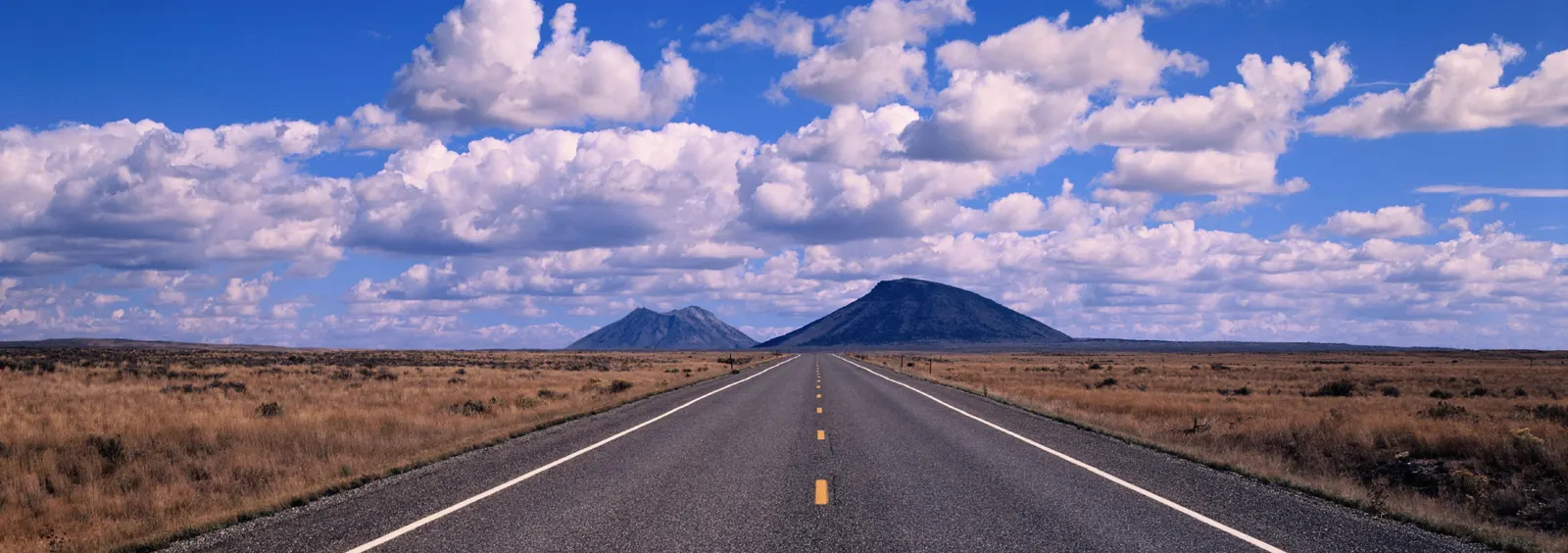 Horizontal Road Other Grass Botanical Free Stock Photo