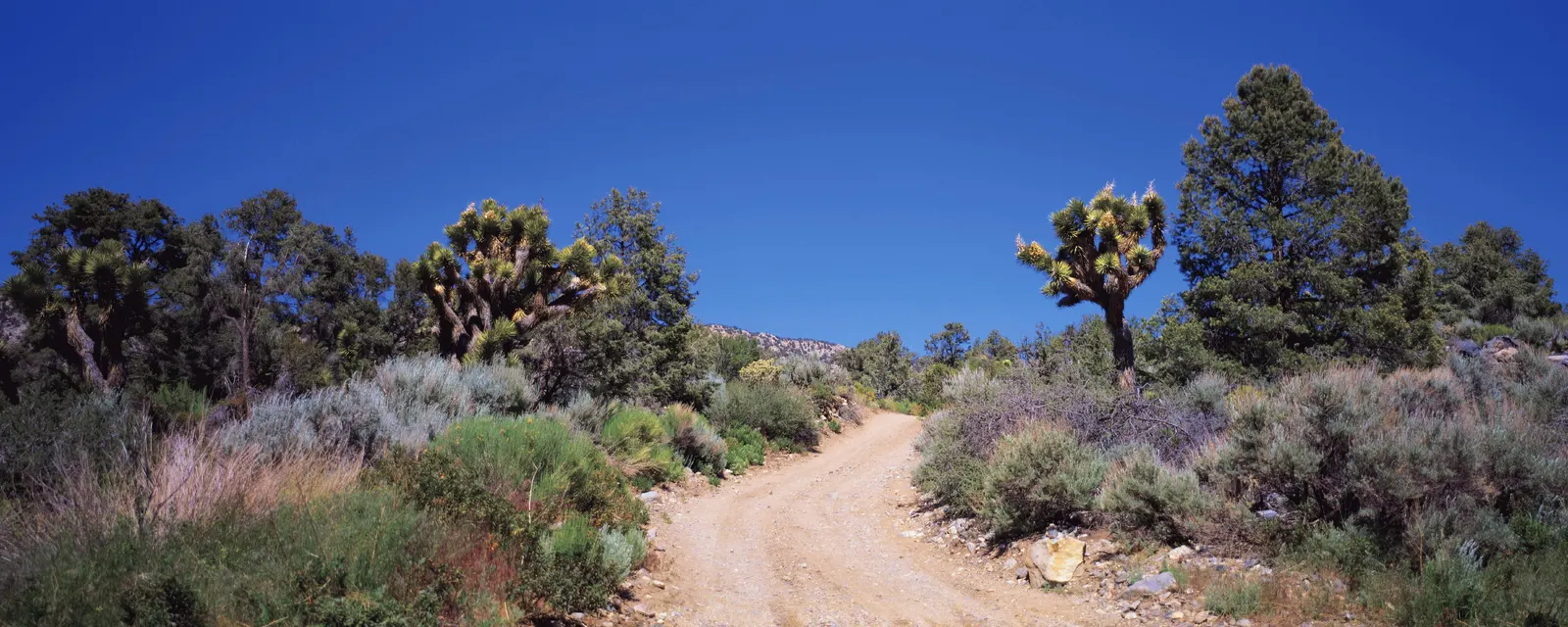 Horizontal Blue Sky Dirt Road Rocks Landscape Free Stock Photo