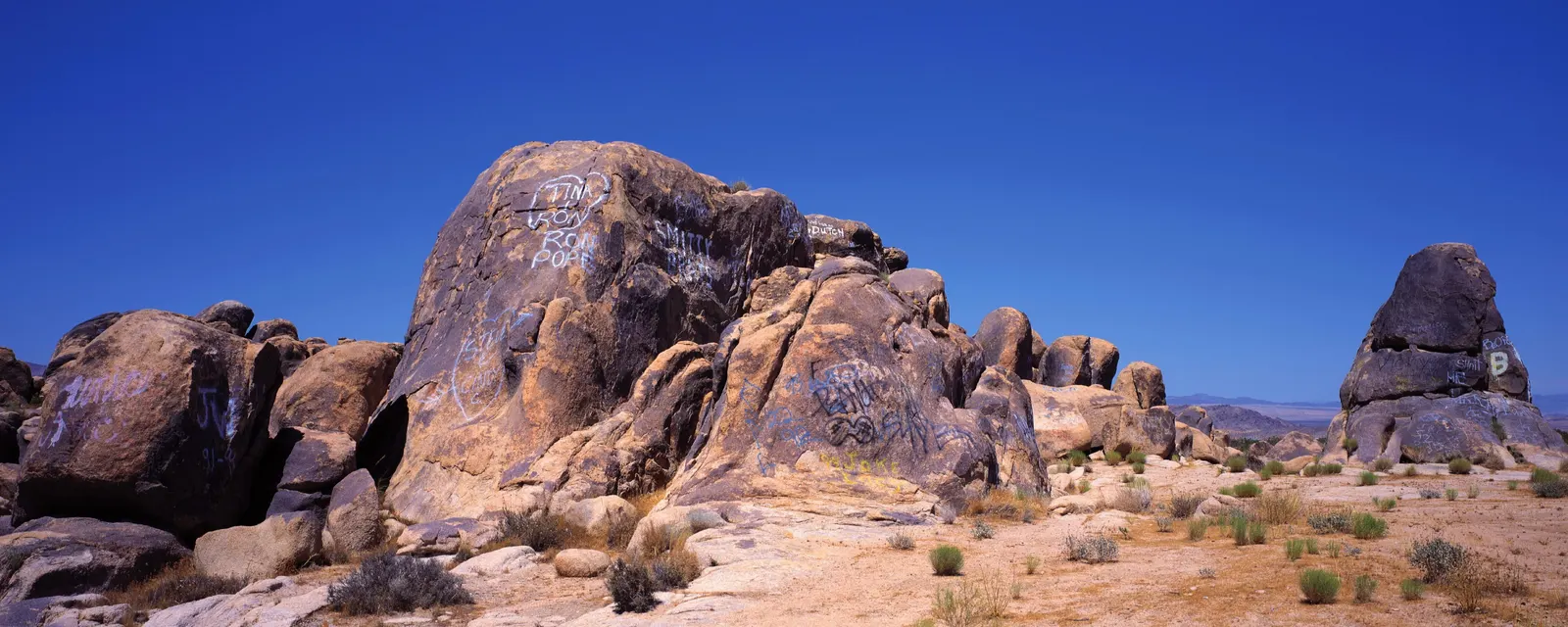 Horizontal Rocks Shrub Botanical Free Stock Photo 2