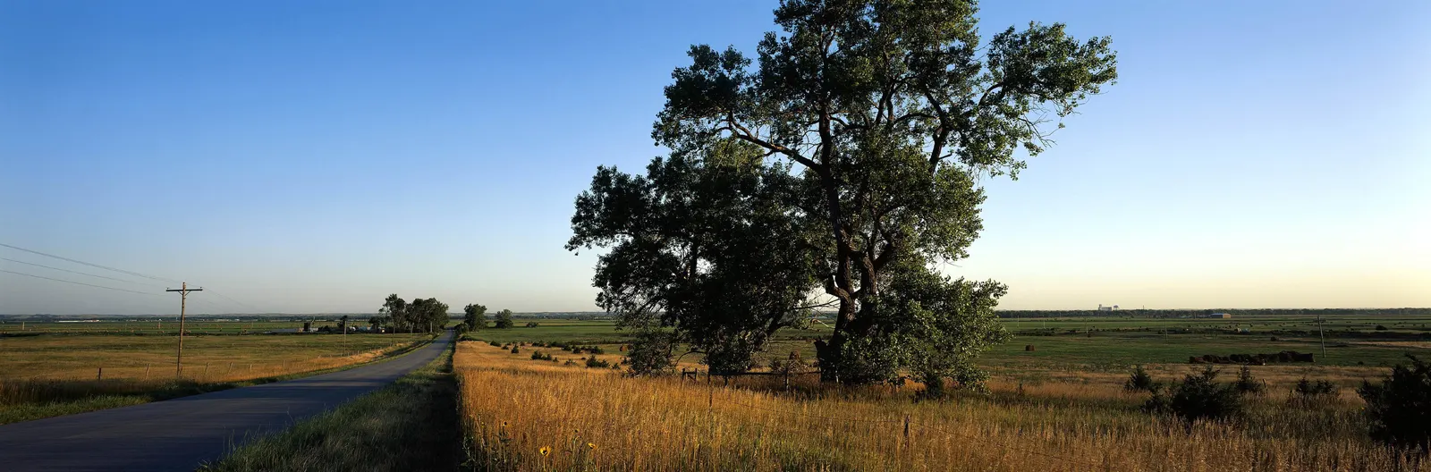 Horizontal Road Other Grass Agriculture Botanical Free Stock Photo