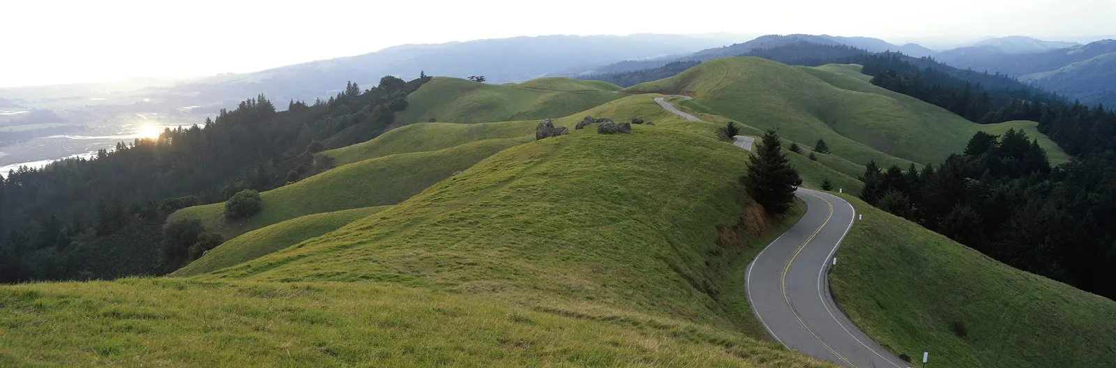 Horizontal Road Other Grass Hill Botanical Free Stock Photo
