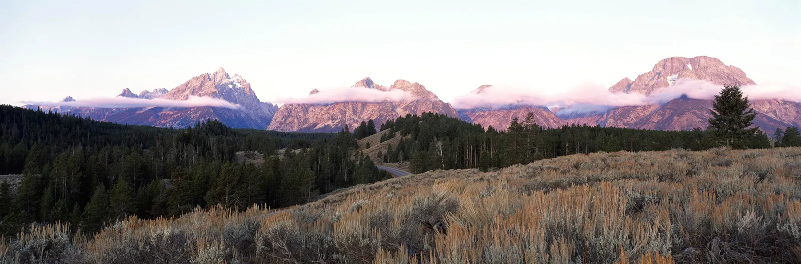 Horizontal Mountain Hill Evergreen Botanical Free Stock Photo