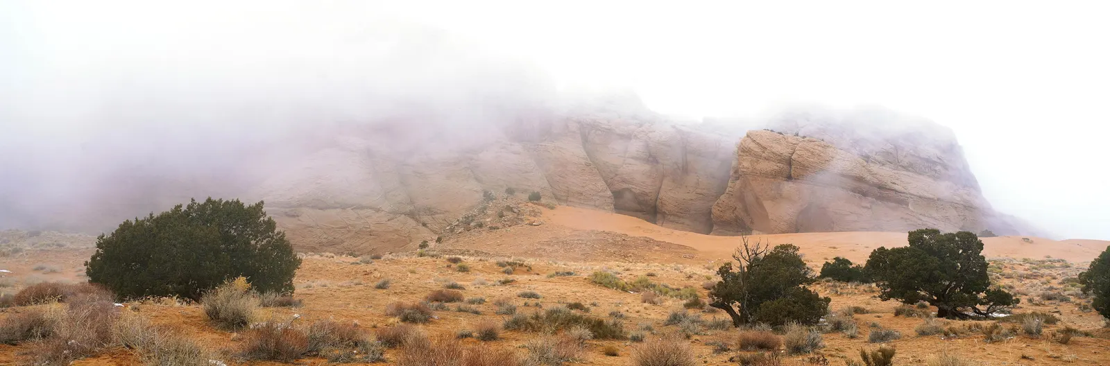 Horizontal Haze Rocks Shrub Botanical Free Stock Photo
