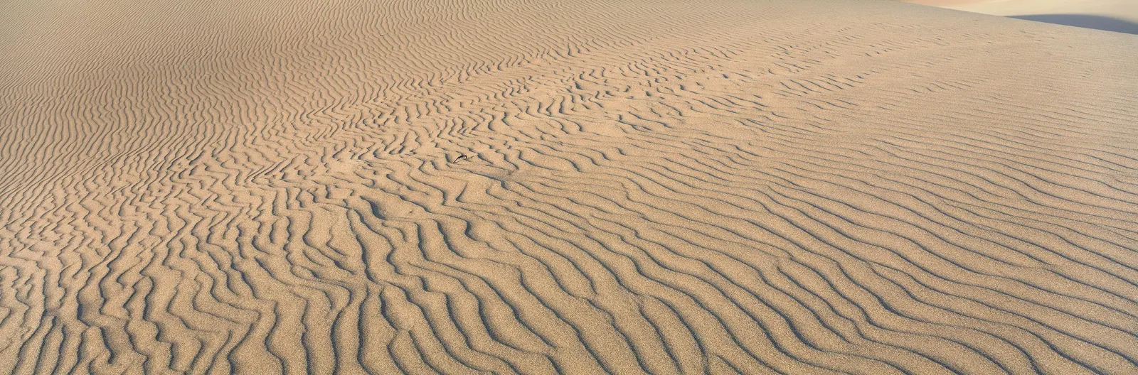Horizontal Sand Dune Desert Landscape Free Stock Photo