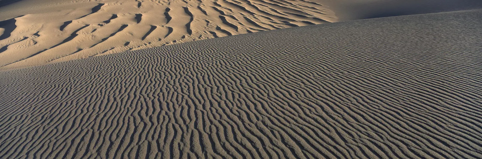 Horizontal Sand Dune Desert Landscape Free Stock Photo 2