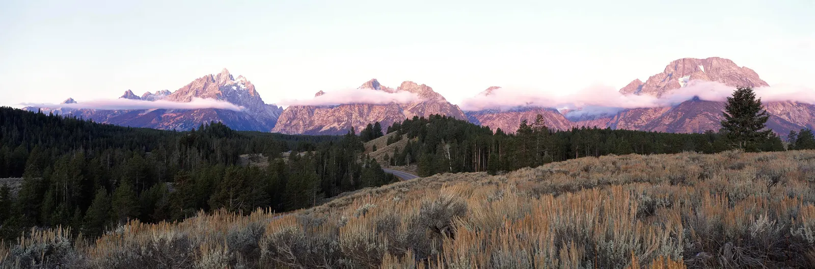 Horizontal Mountain Hill Evergreen Botanical Free Stock Photo 2