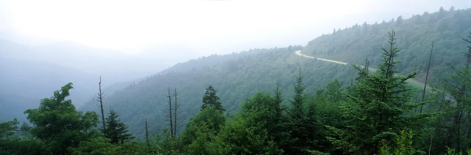 Horizontal Haze Hill Foliage Botanical Free Stock Photo 2