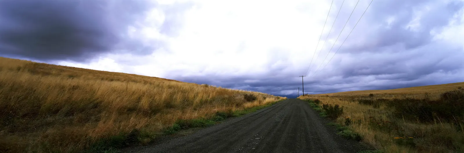 Horizontal Dirt Road Grass Cord Botanical Free Stock Photo 2