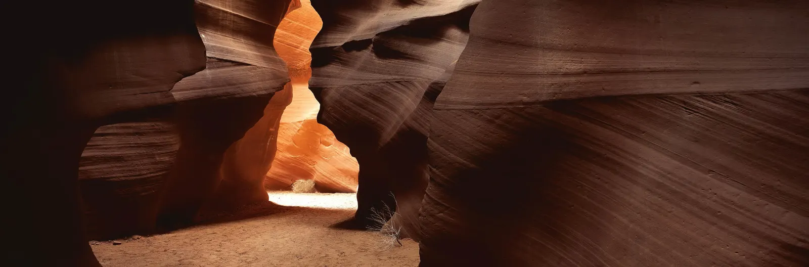 Horizontal Wood Processed Natural Canyon Landscape Free Stock Photo 2