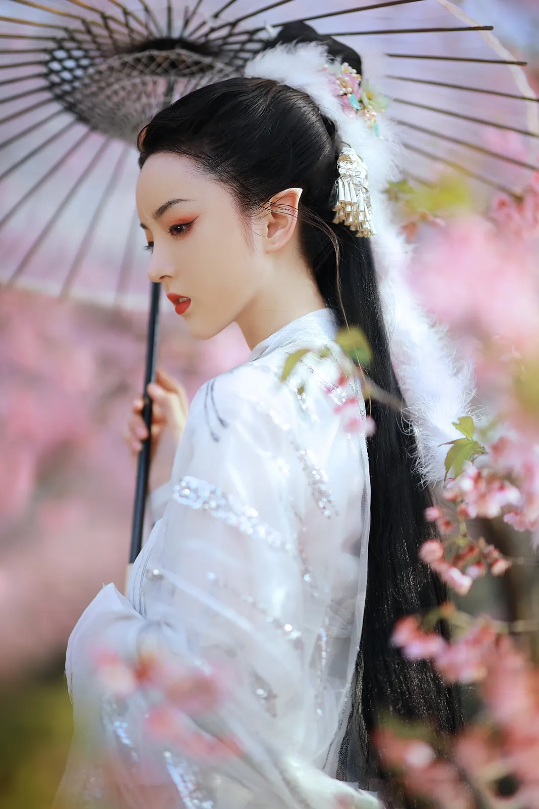 Vertical Kimono Umbrella Utensil Food and Drink Free Stock Photo 2