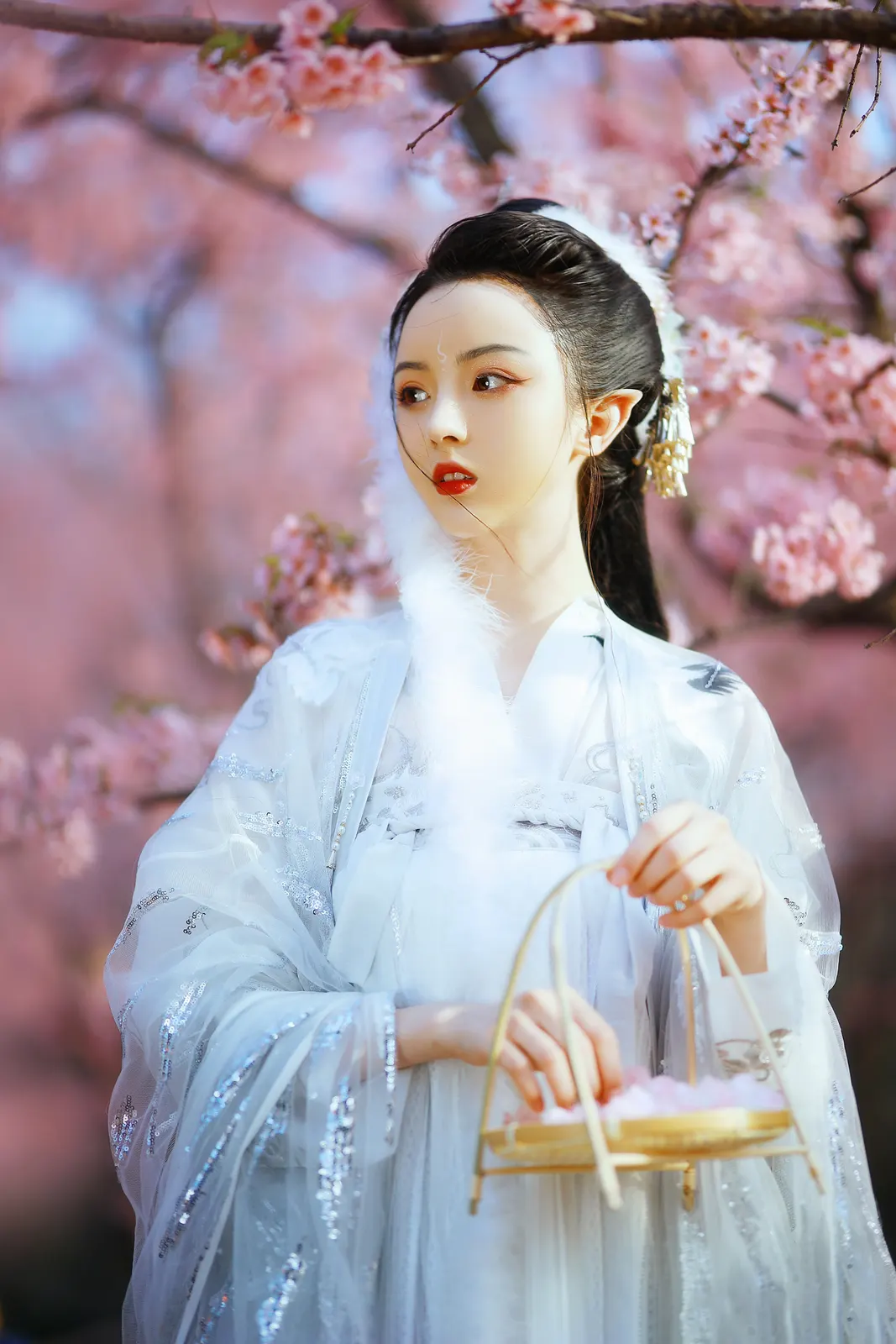 Vertical Kimono Blossom Flower Botanical Free Stock Photo
