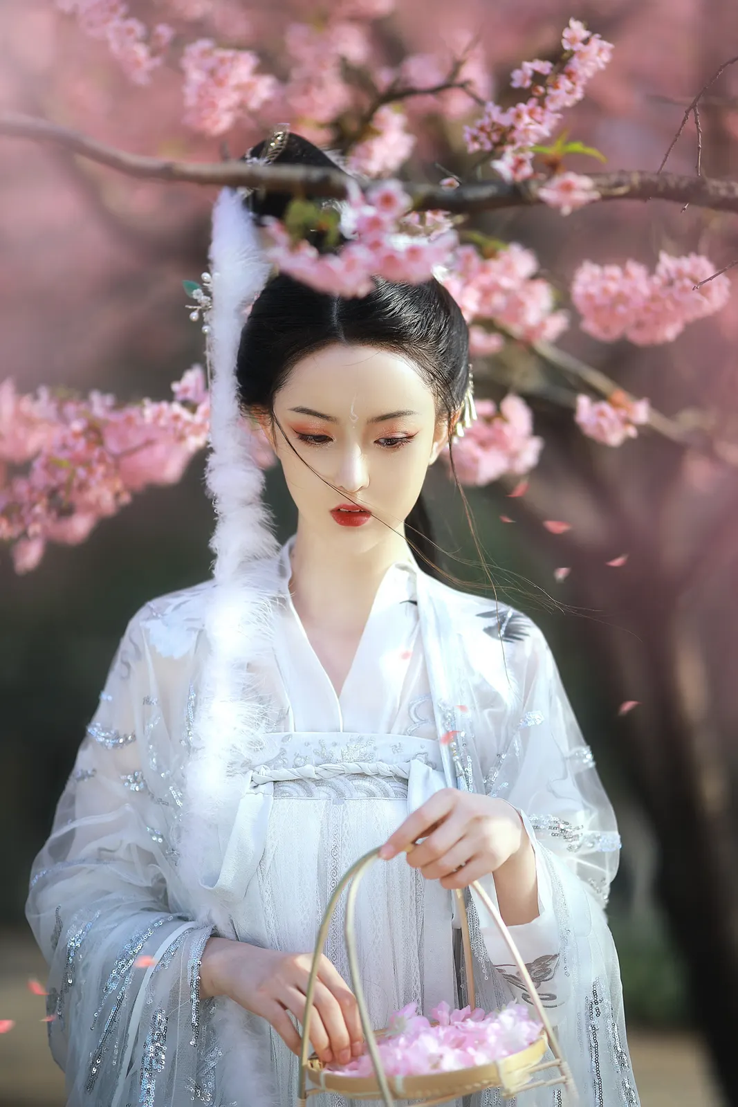 Vertical Blossom Flower Kimono Botanical Free Stock Photo 2