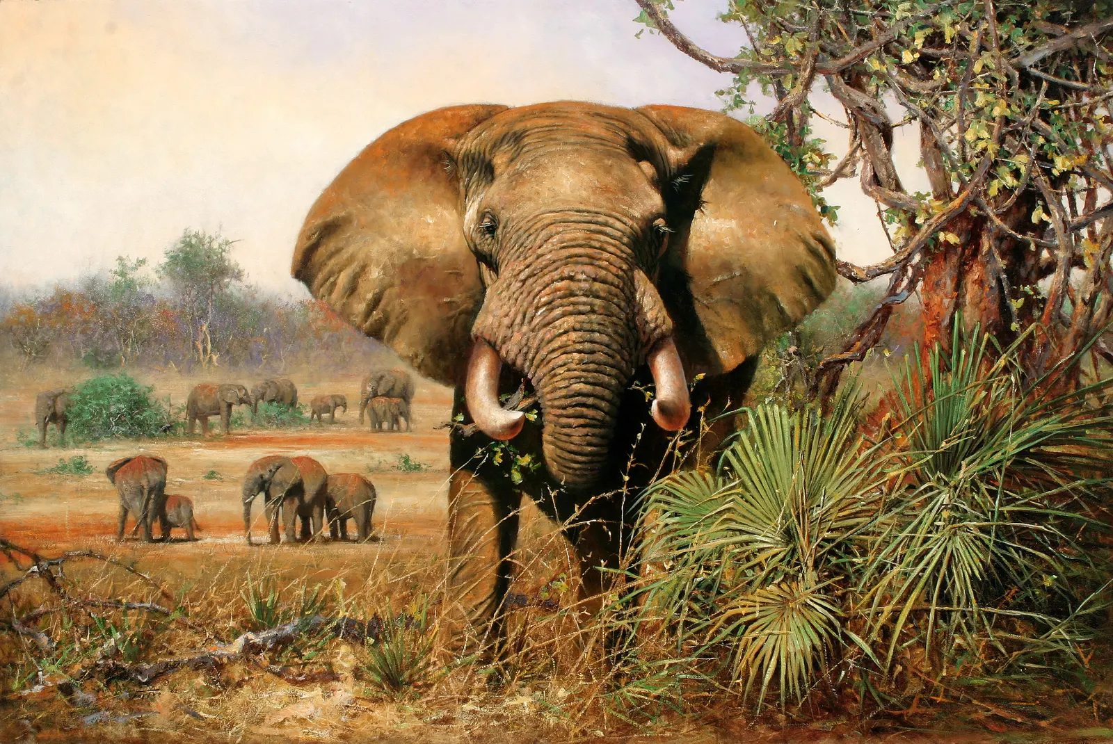 Horizontal Animal Mammal Elephant Free Stock Photo