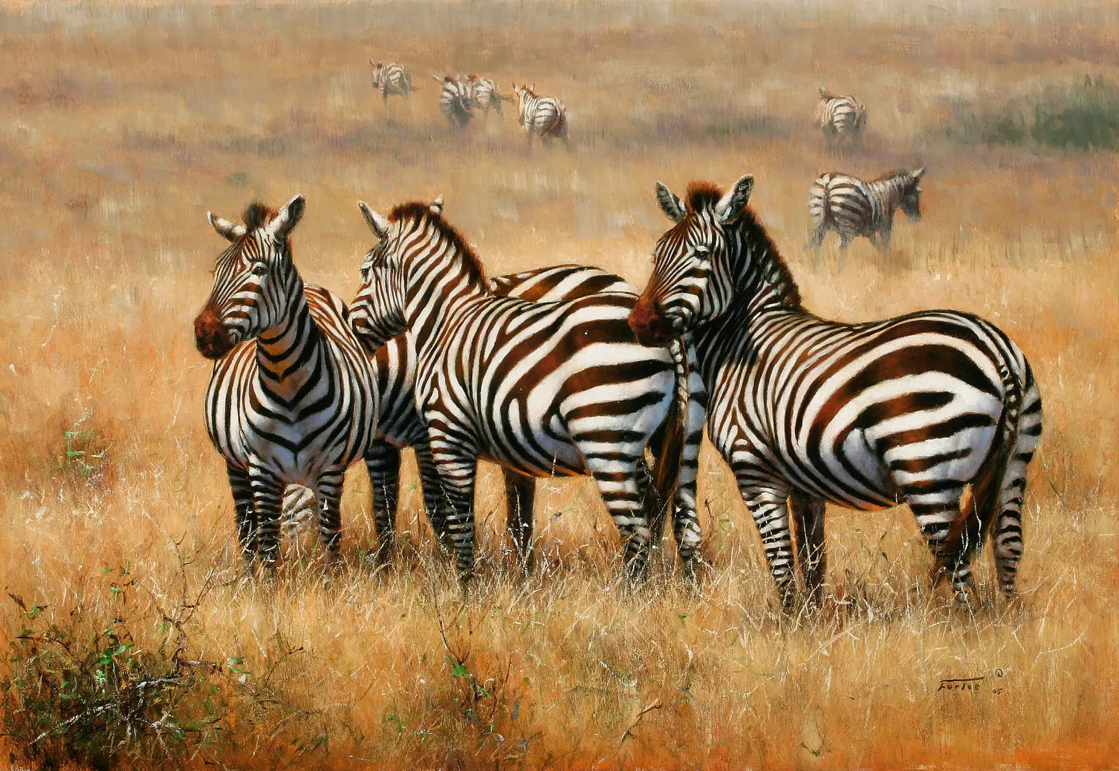 Horizontal Animal Mammal Ungulates Free Stock Photo