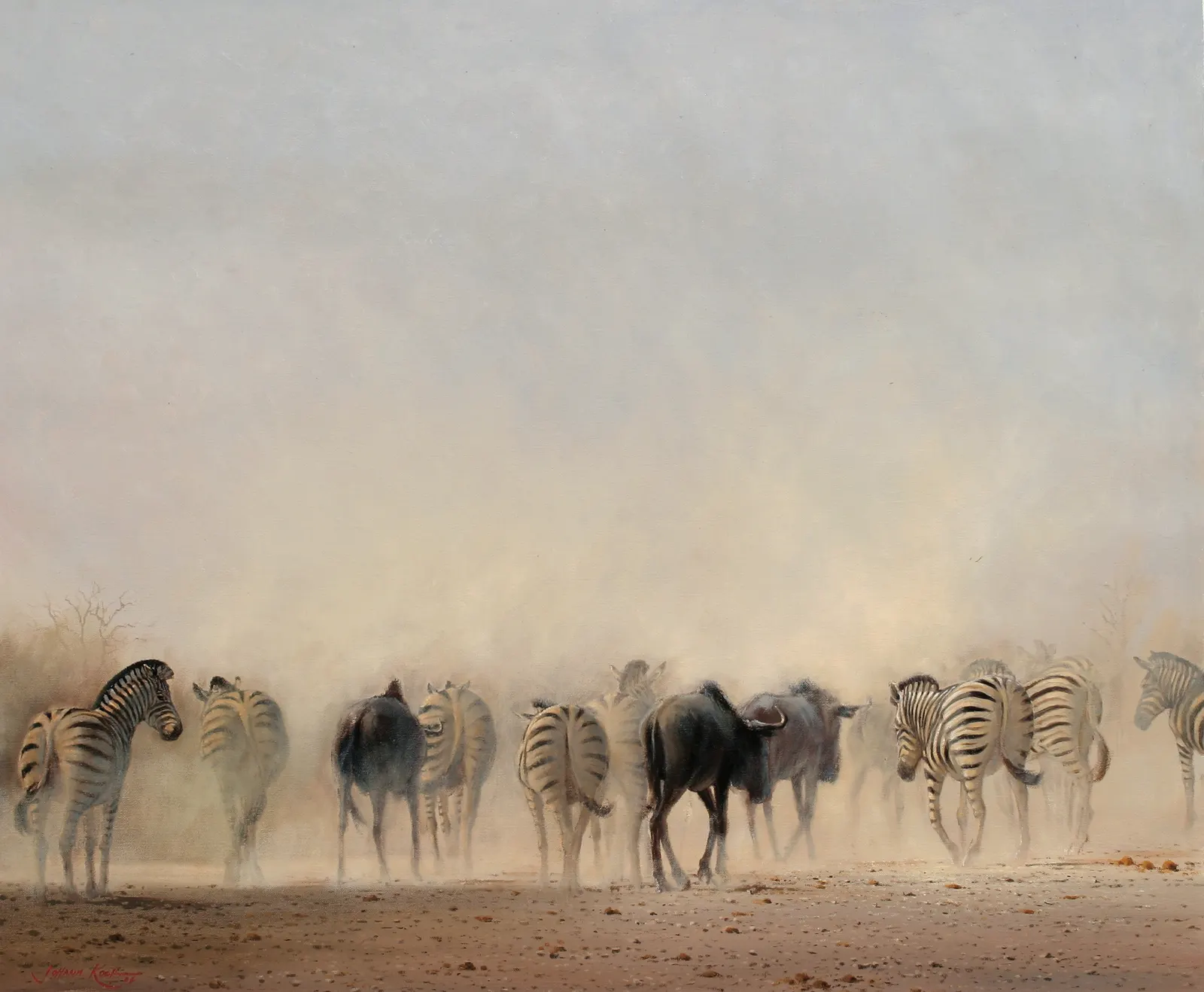 Horizontal Animal Mammal Ungulates Free Stock Photo 5