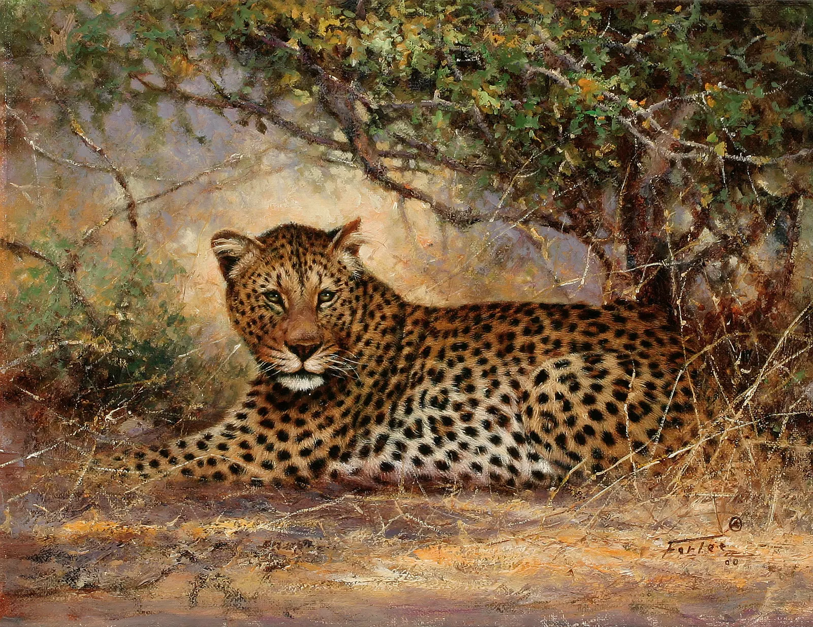 Horizontal Animal Feline Mammal Free Stock Photo 3