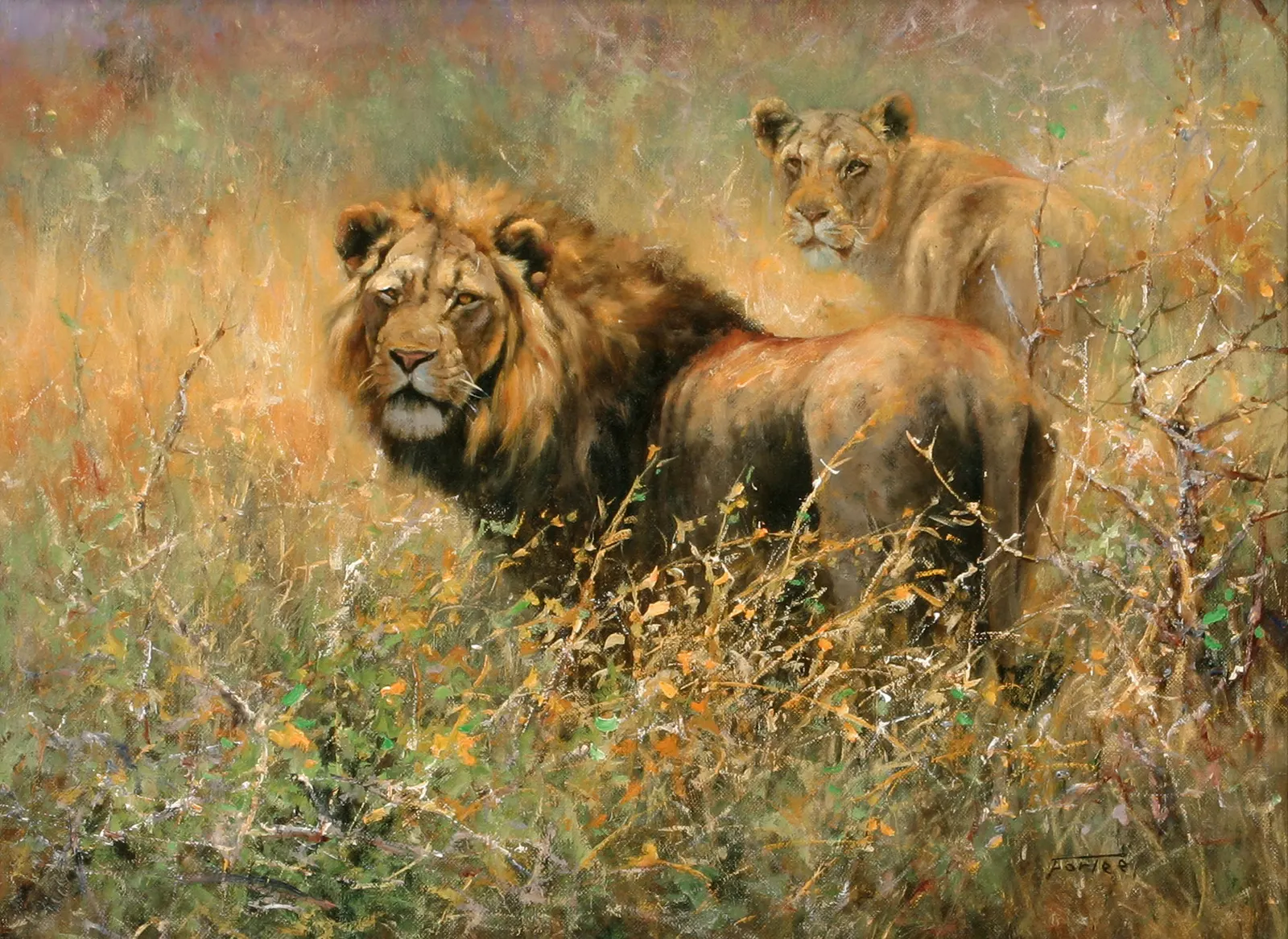 Horizontal Animal Feline Lion Free Stock Photo 2