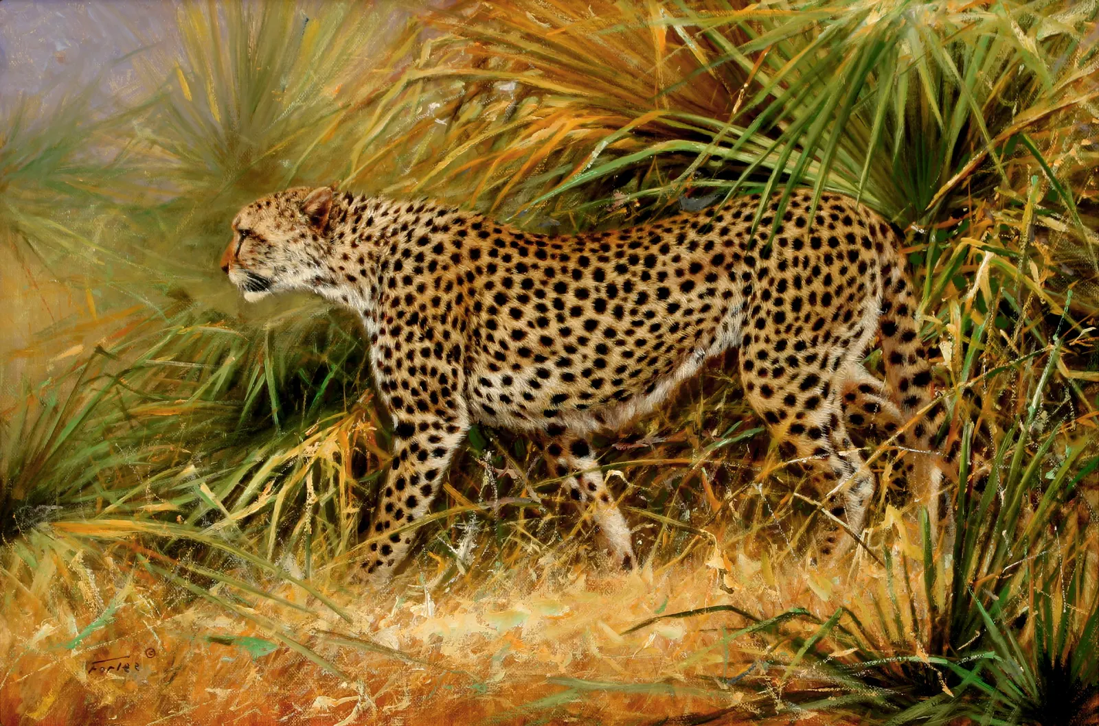 Horizontal Grass Animal Feline Free Stock Photo