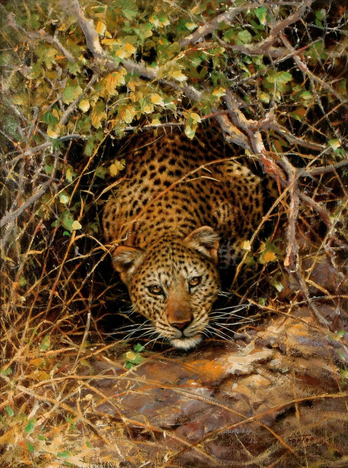 Vertical Animal Feline Mammal Free Stock Photo 2