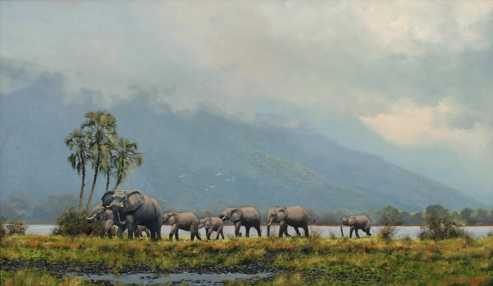 Horizontal Animal Mammal Elephant Free Stock Photo 2