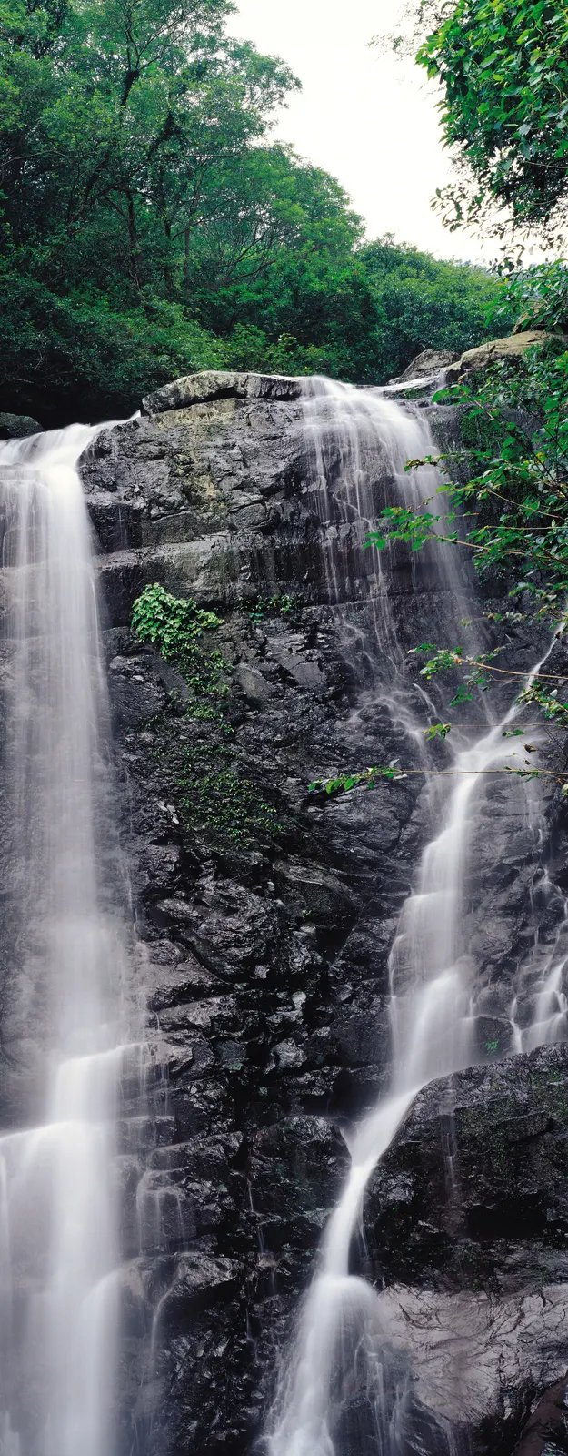 Vertical Water Body Liquid Waterways Landscape Free Stock Photo 5