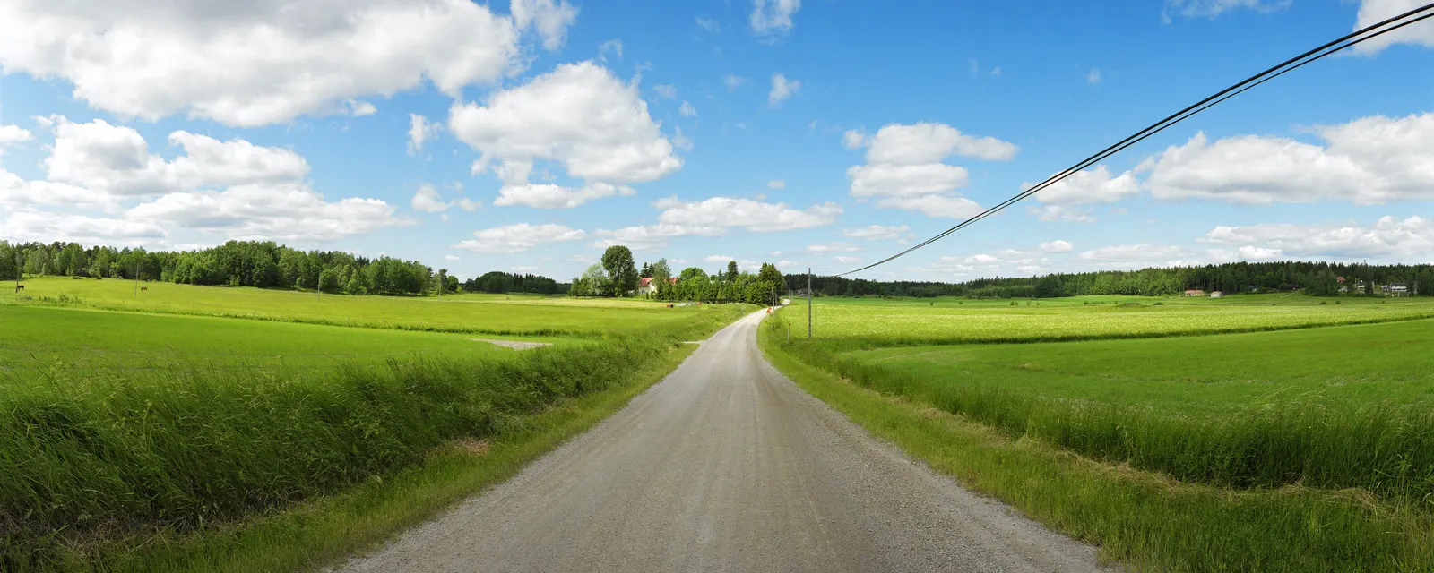 Horizontal Dirt Road Grass Botanical Free Stock Photo