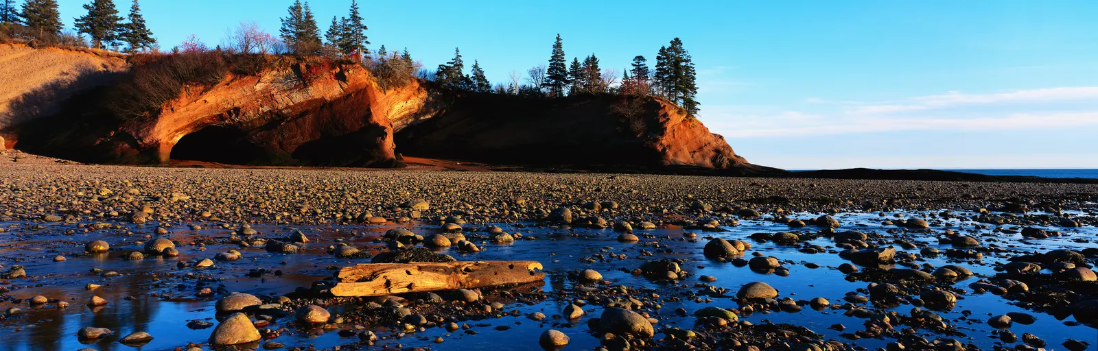 Horizontal Rocks Evergreen Botanical Free Stock Photo
