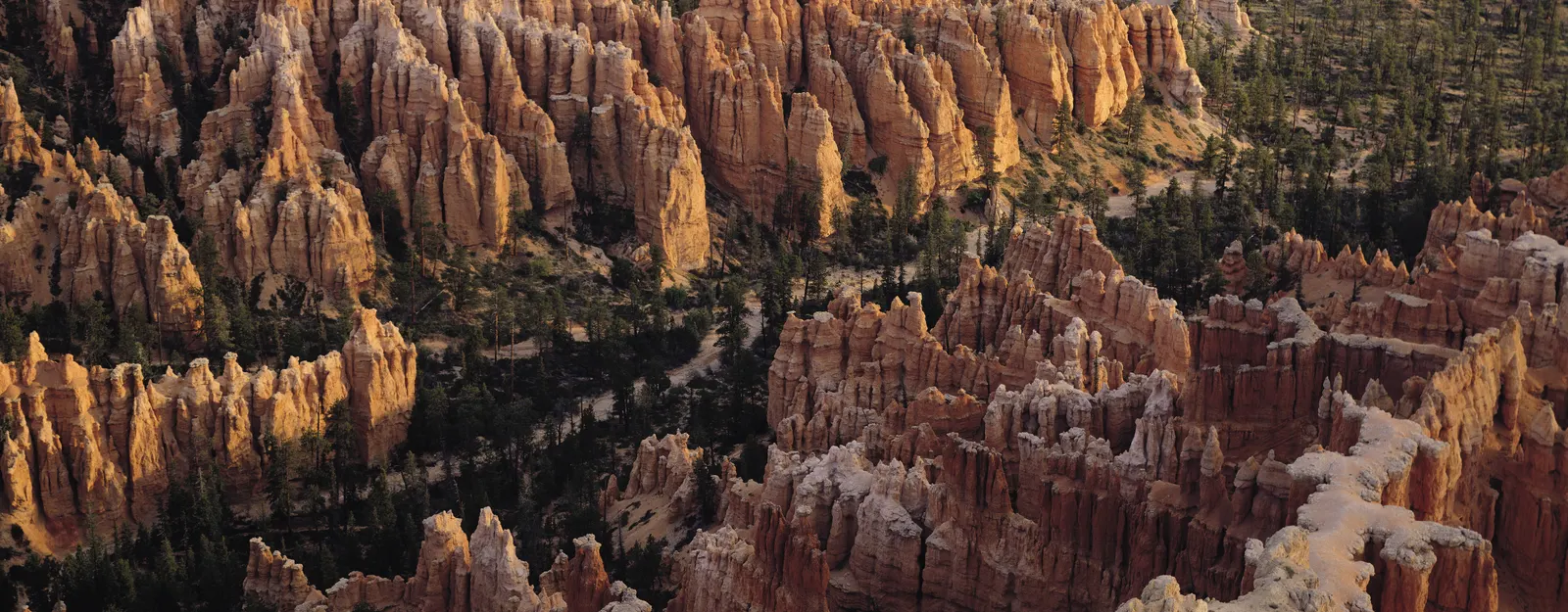 Horizontal Canyon Rocks Cliff Botanical Free Stock Photo