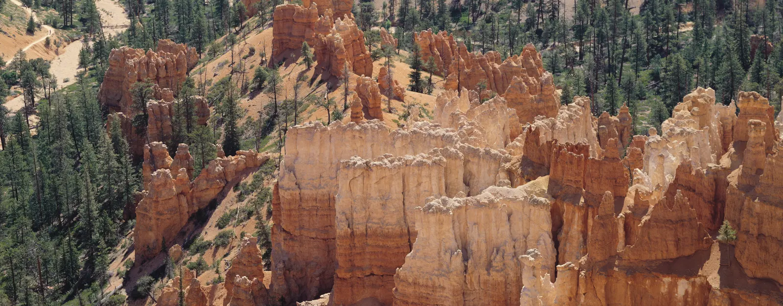 Horizontal Cliff Rocks Canyon Botanical Free Stock Photo