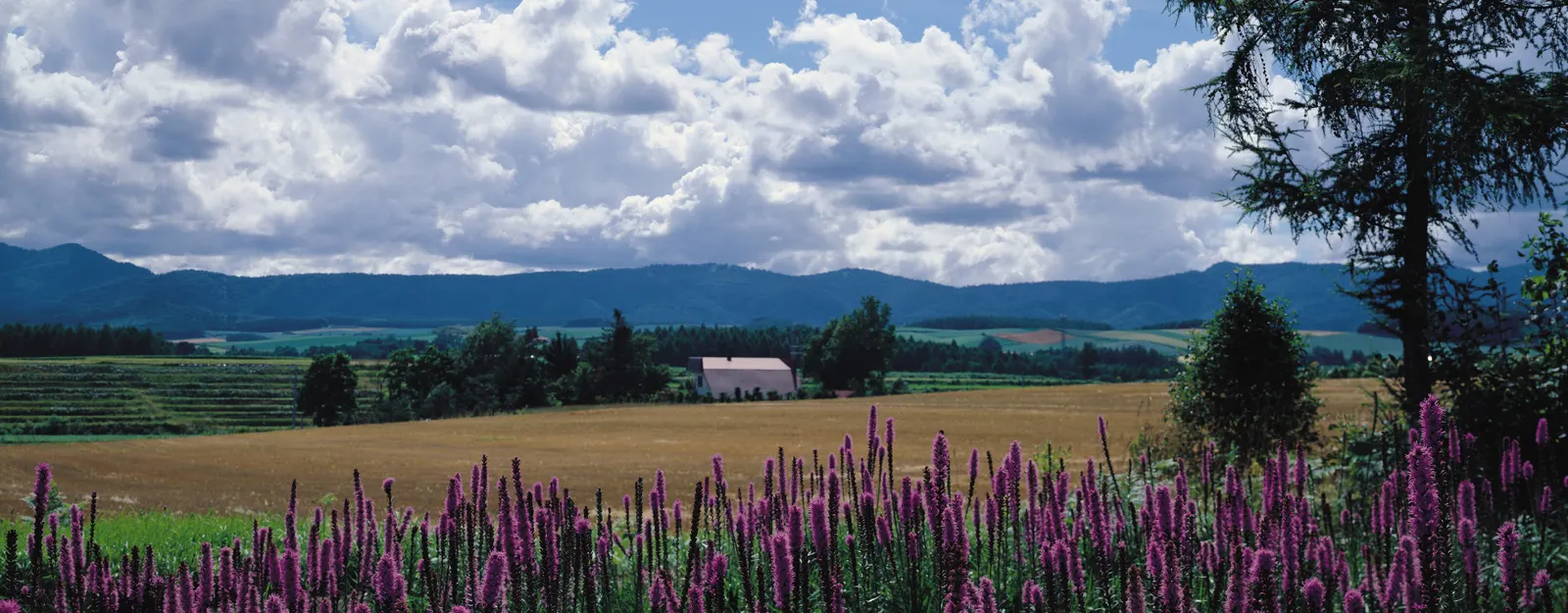 Horizontal Blue Sky Cloudy Hill Landscape Free Stock Photo 14