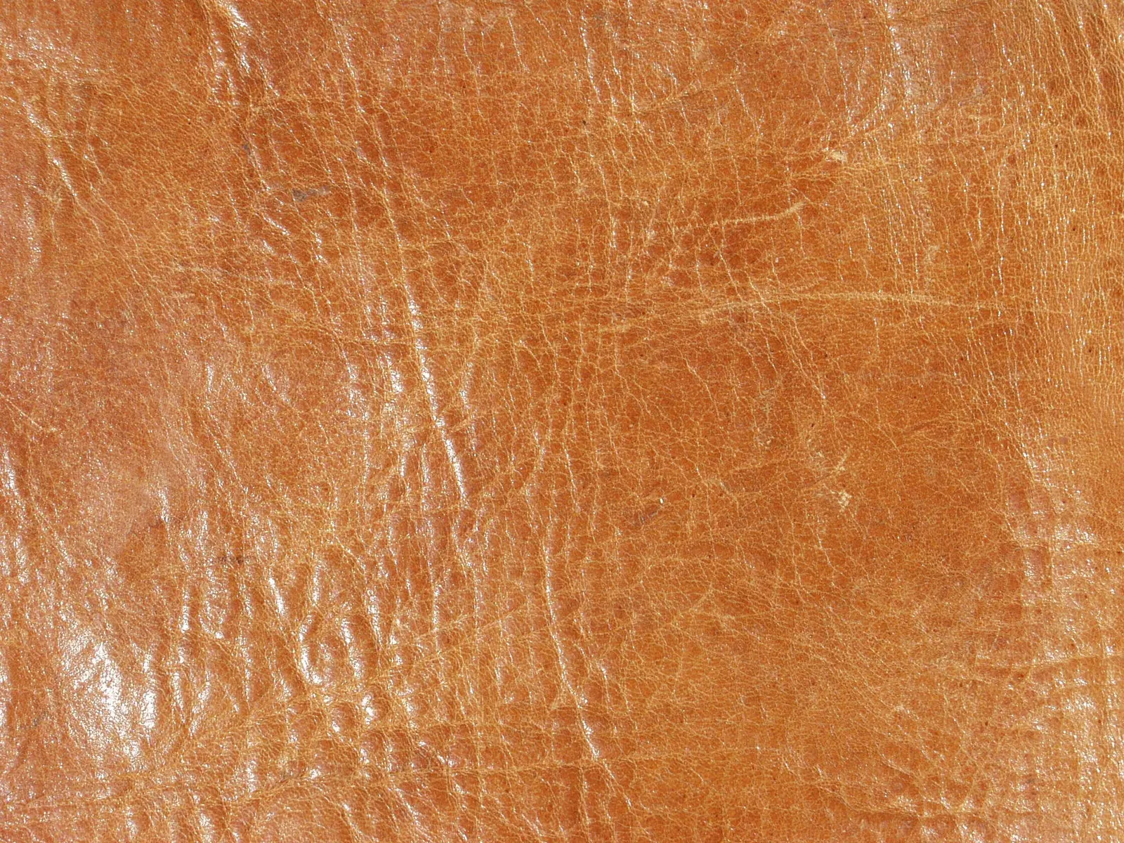 Horizontal Textile Creative Image Free Stock Photo 3