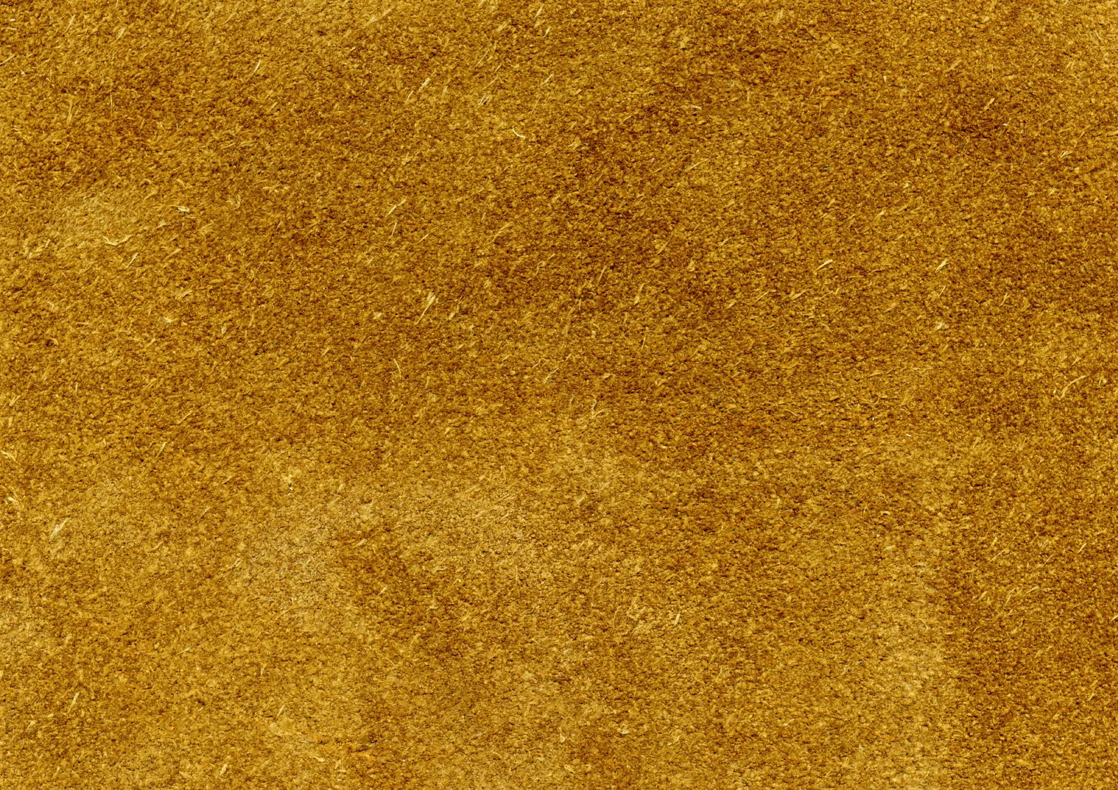 Horizontal Herb Seasonings Turmeric Creative Image Free Stock Photo