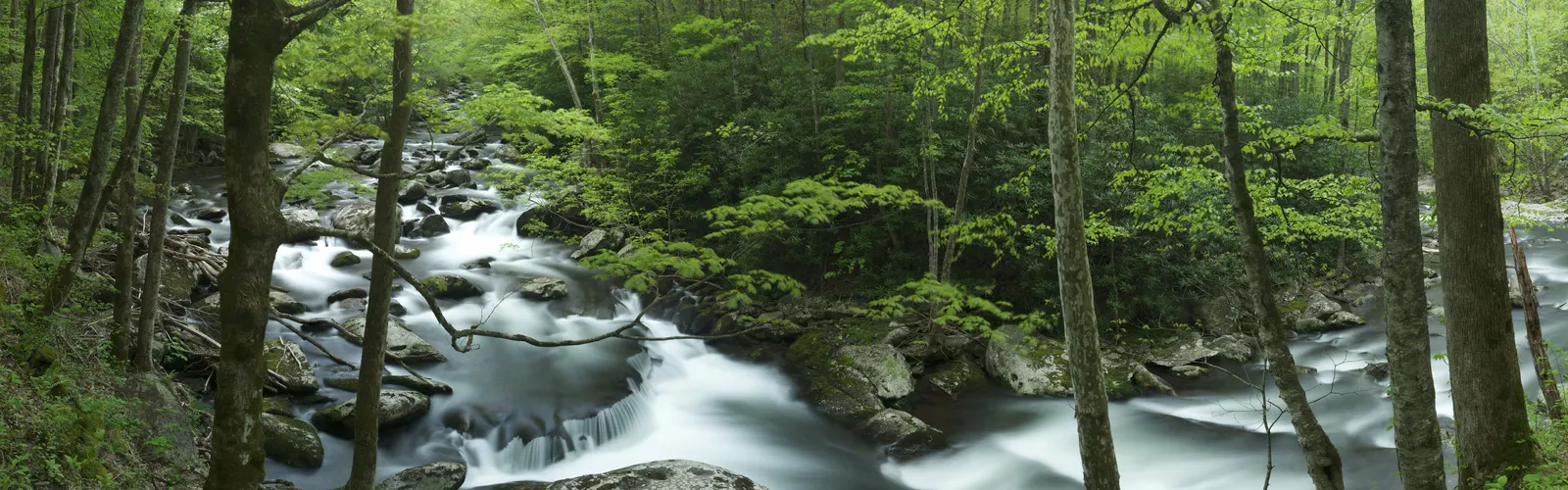 Horizontal Water Body Liquid Waterways Landscape Free Stock Photo 12