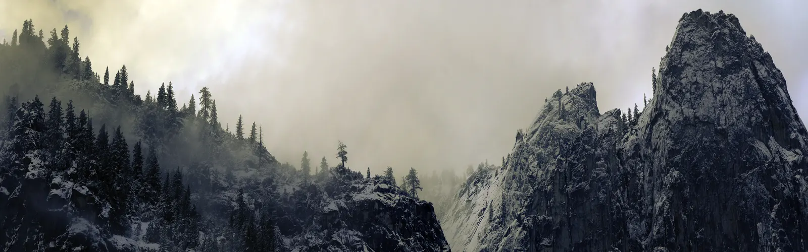 Horizontal Rocks Cliff Evergreen Botanical Free Stock Photo