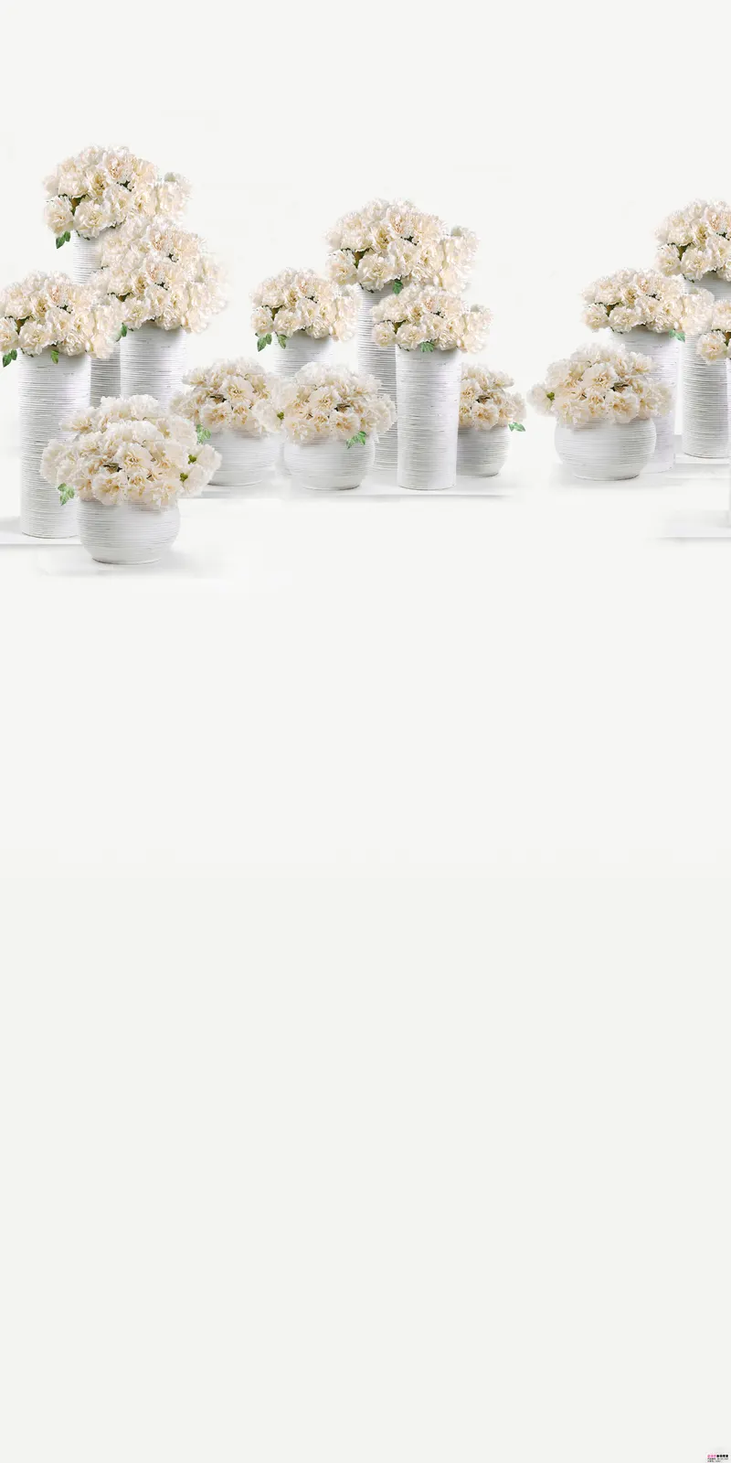 Vertical Decorative Plant Popcorn Tableware Food and Drink Free Stock Photo