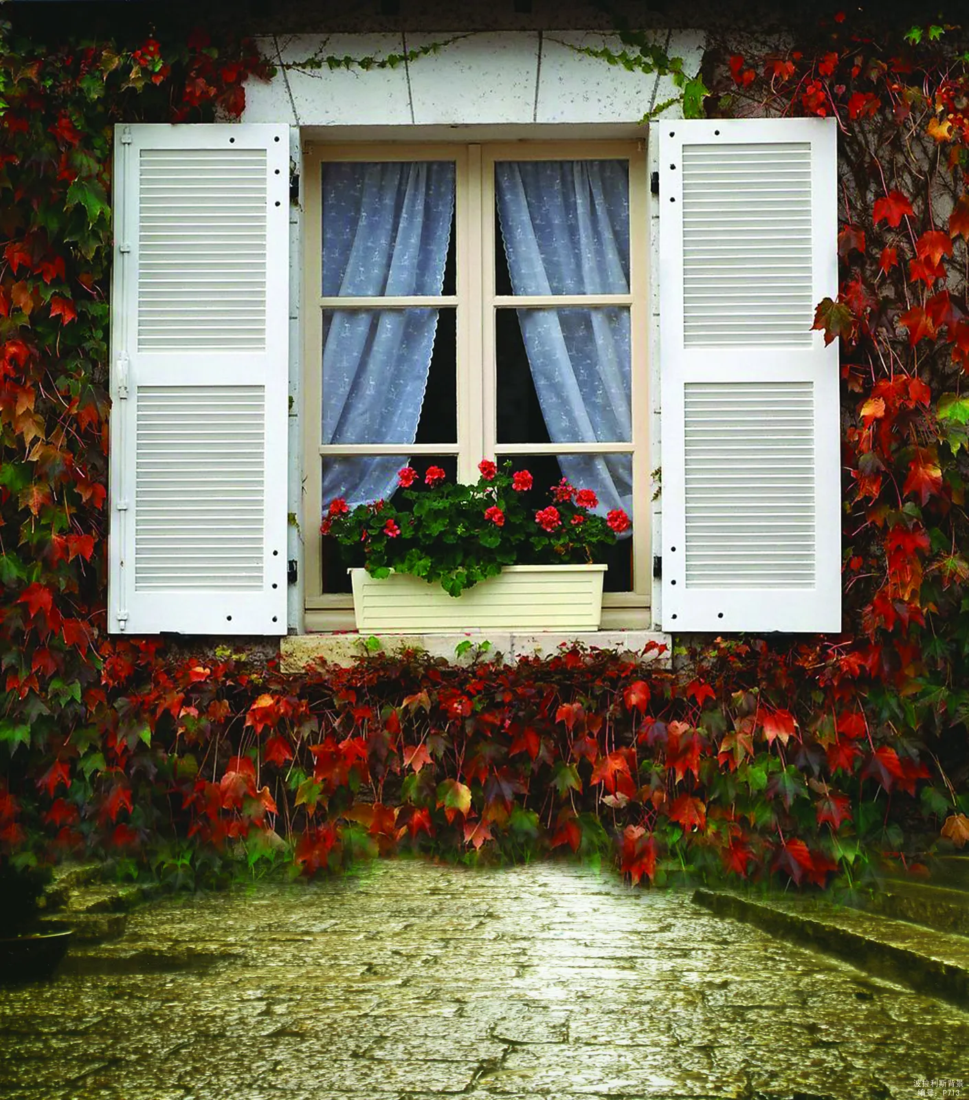 Square Conveyance Portal Window Botanical Free Stock Photo