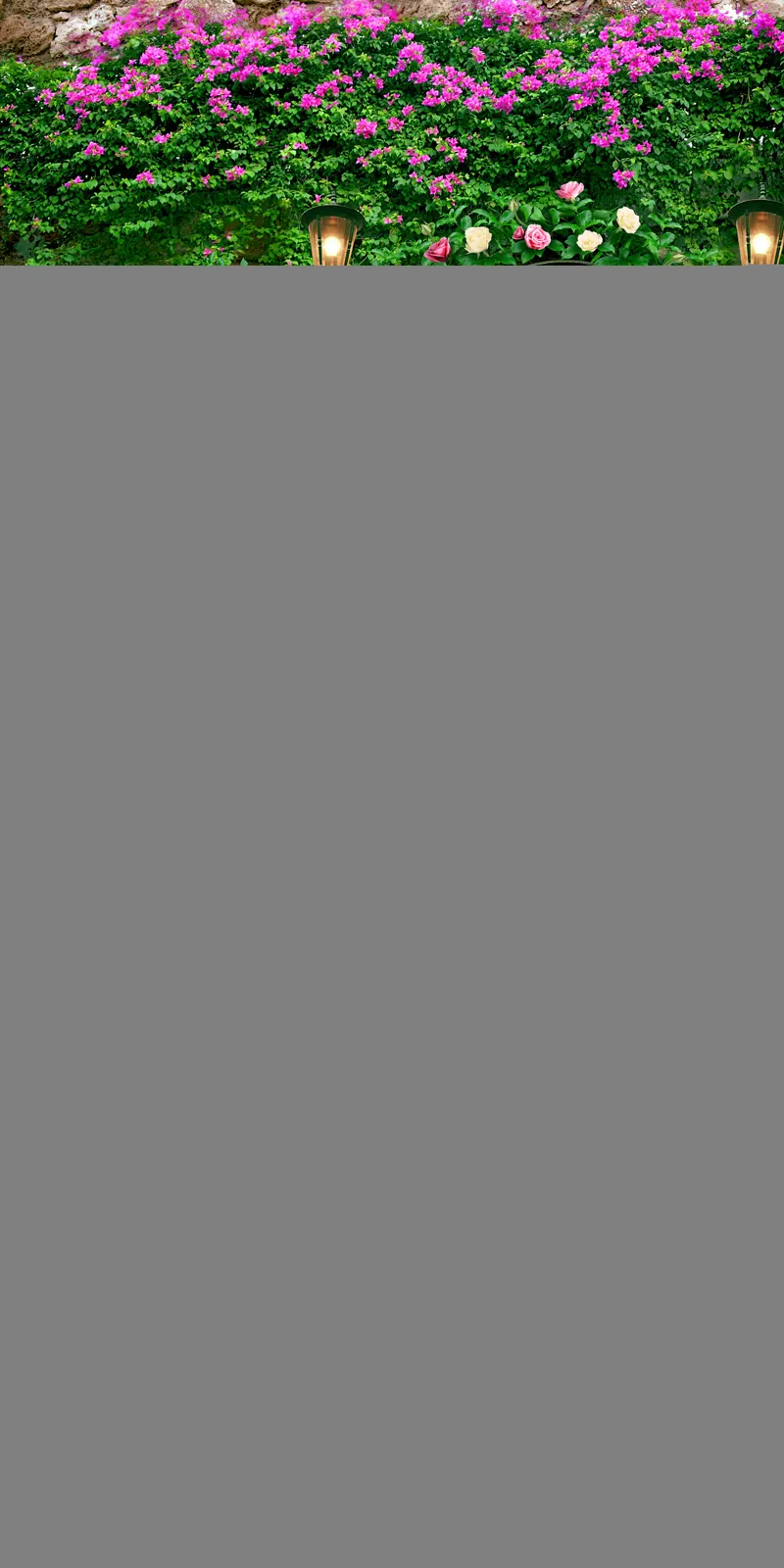 Vertical Rocks Light Lamppost Botanical Free Stock Photo