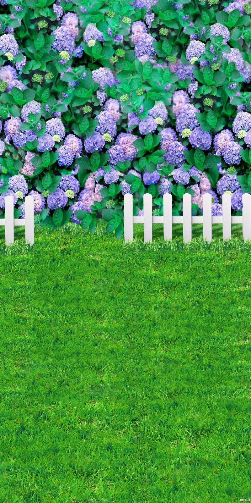 Vertical Grass Fence Foliage Botanical Free Stock Photo