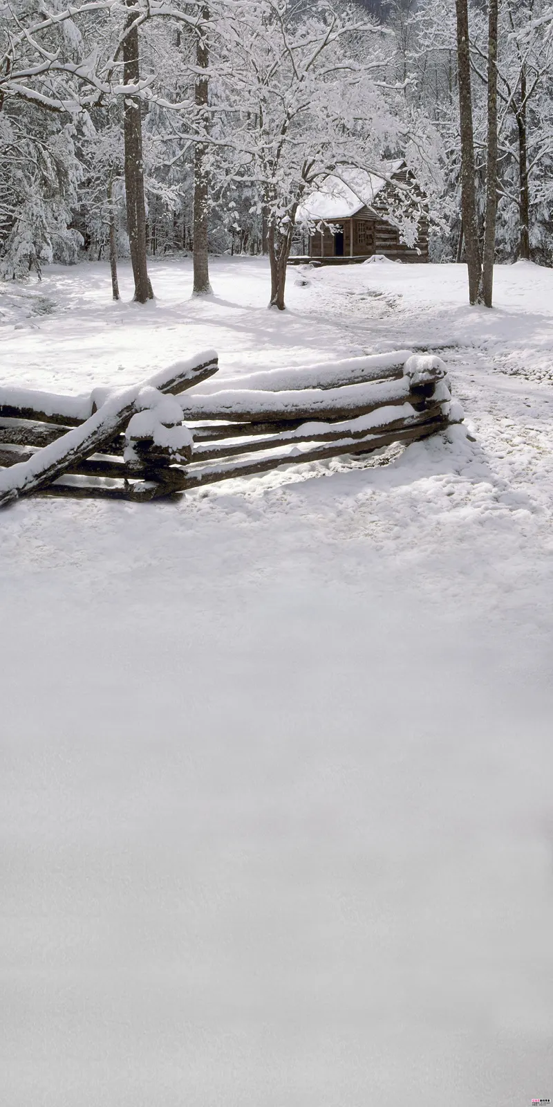 Vertical Frozen Liquid Snow Landscape Free Stock Photo 2