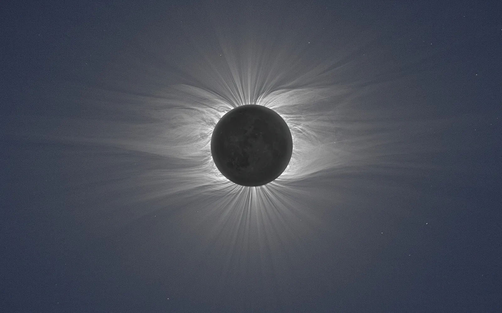Horizontal Celestial Body Other Daytime Sun Animal Free Stock Photo