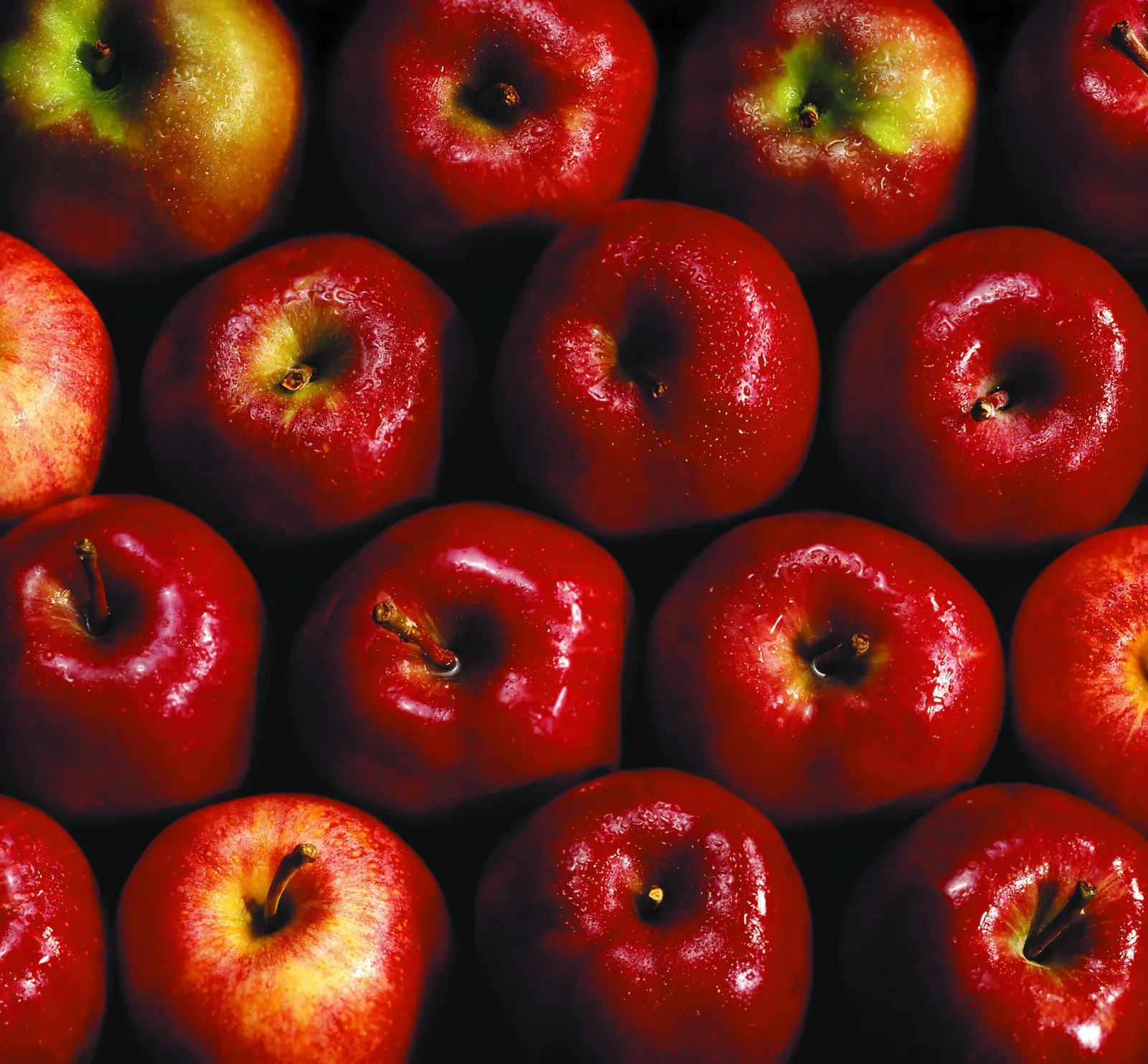 Square Apple Nectarine Plum Food and Drink Free Stock Photo