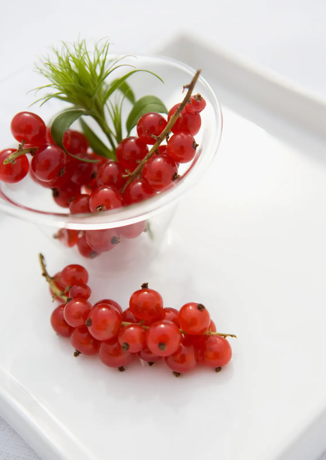 Vertical Berry Cranberry Cherry Food and Drink Free Stock Photo