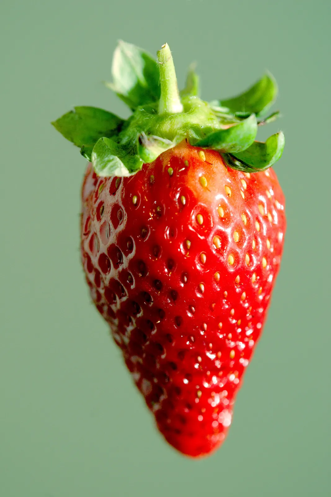Vertical Berry Strawberry Foliage Food and Drink Free Stock Photo 2