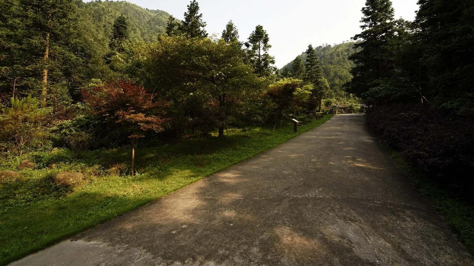 Horizontal Dirt Road Path Grass Botanical Free Stock Photo
