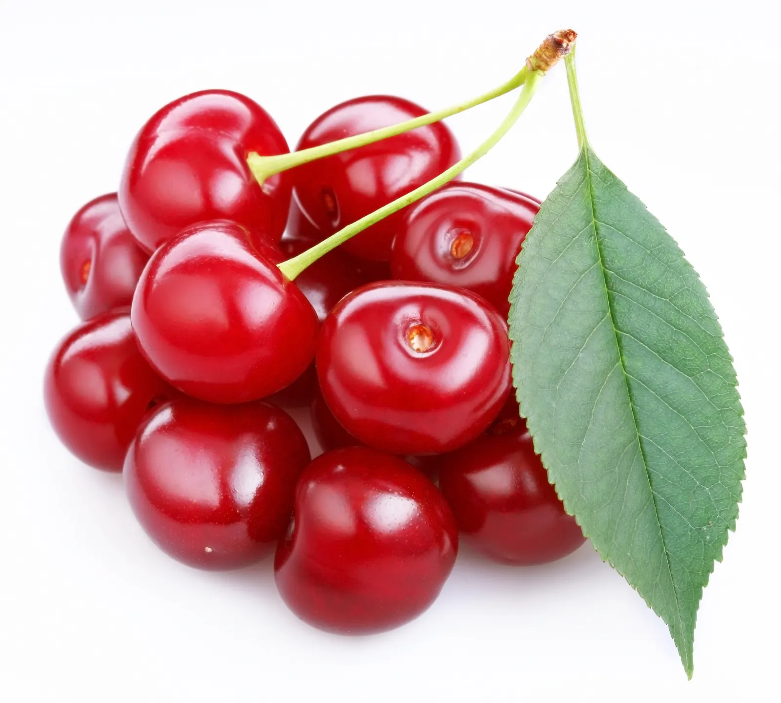 Square Cherry Foliage Berry Food and Drink Free Stock Photo