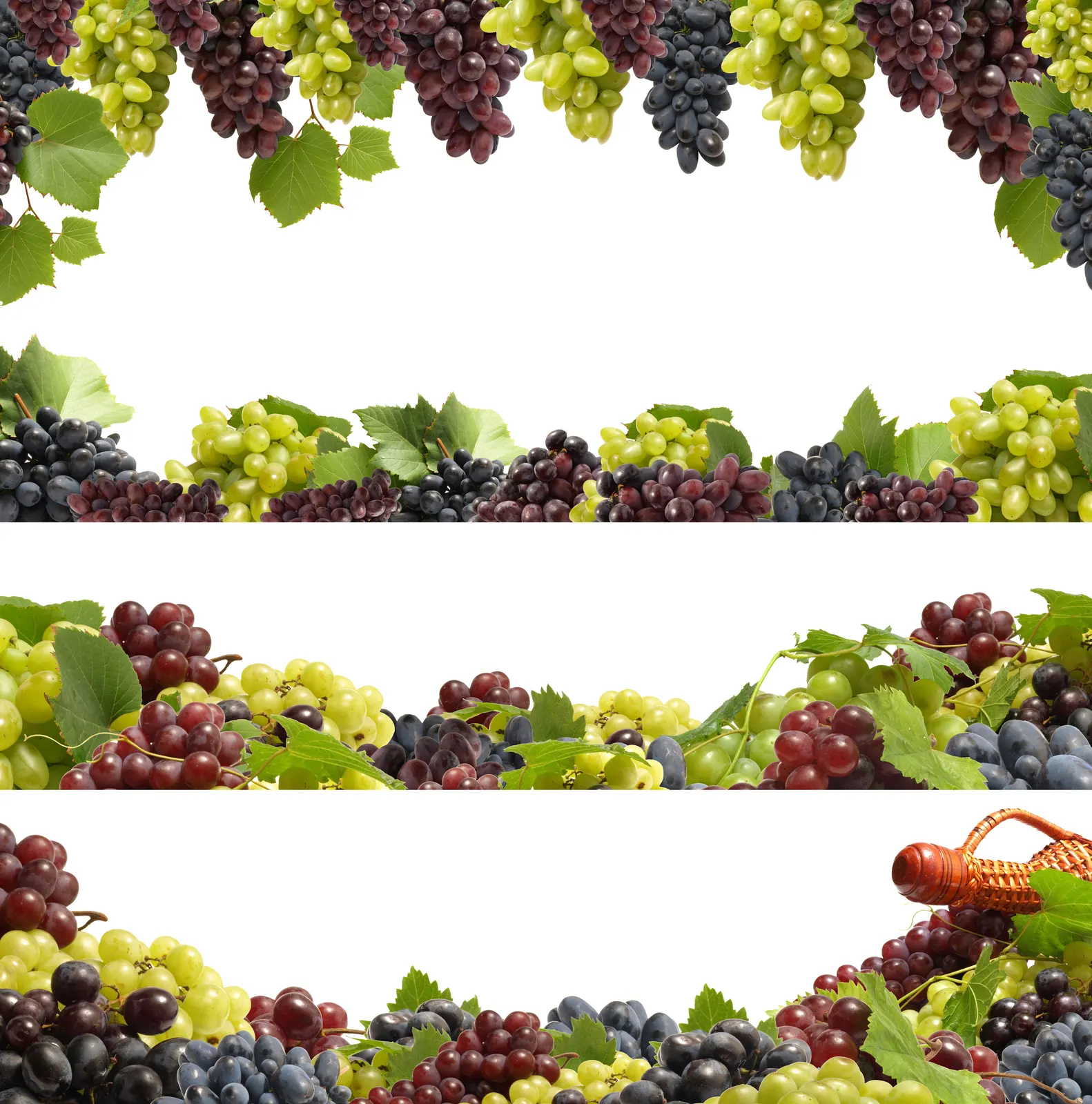 Square Grape Foliage Agriculture Food and Drink Free Stock Photo